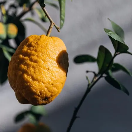 Bed & Breakfast Tenuta Tresca - Dimora Storica 4*