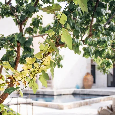 Tenuta Tresca - Dimora Storica Bed & Breakfast San Cassiano (Lecce)