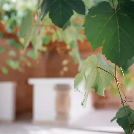 Tenuta Tresca - Dimora Storica Bed & Breakfast San Cassiano (Lecce)