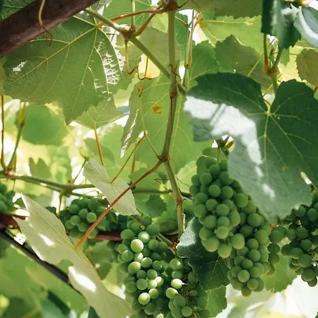 Tenuta Tresca - Dimora Storica Bed & Breakfast