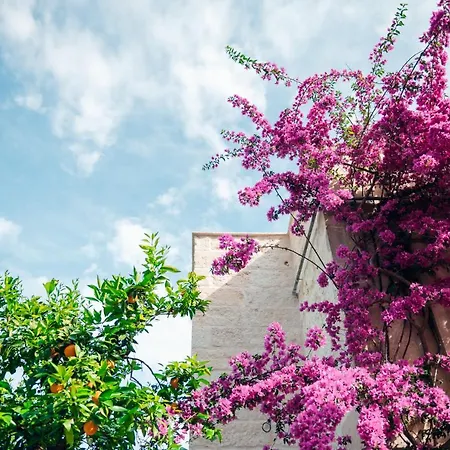 Tenuta Tresca - Dimora Storica Bed & Breakfast San Cassiano (Lecce)